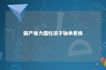 国产推力圆柱滚子轴承更换 